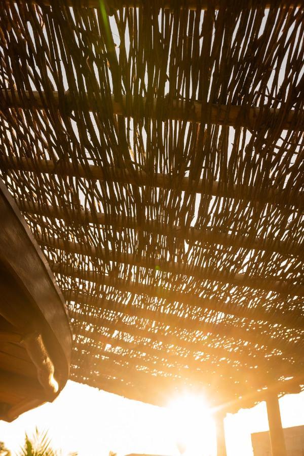 Eco Loft Maymuna: Seu Loft Ecologico Pertinho Da Praia Βίλα Pôrto de Pedras Εξωτερικό φωτογραφία