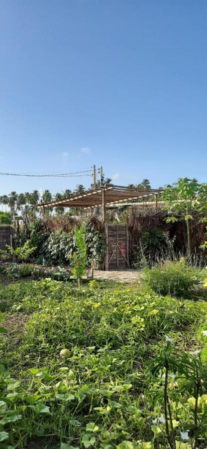 Eco Loft Maymuna: Seu Loft Ecologico Pertinho Da Praia Βίλα Pôrto de Pedras Εξωτερικό φωτογραφία